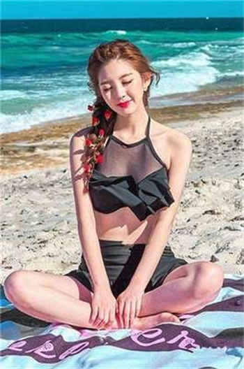 by一枚夹心饼 小说