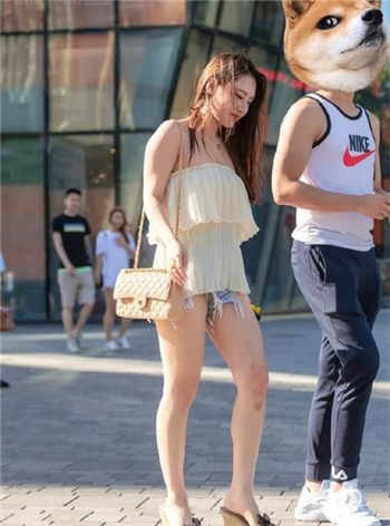 1769手机看视频免费