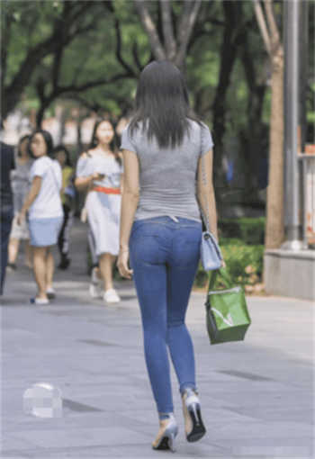 兽合集小说在线阅读