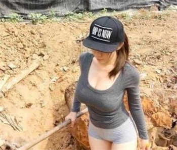 蘑菇丁官网