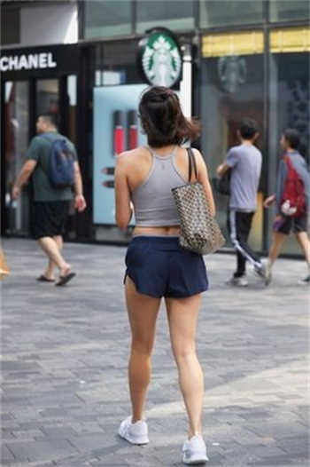 捡来的老婆是律师