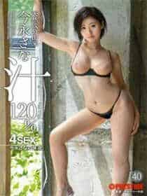 交换面具舞会
